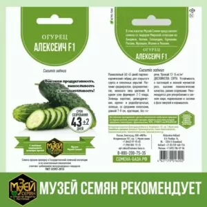 МУЗЕЙ СЕМЯН - проверенные семена агрокультур