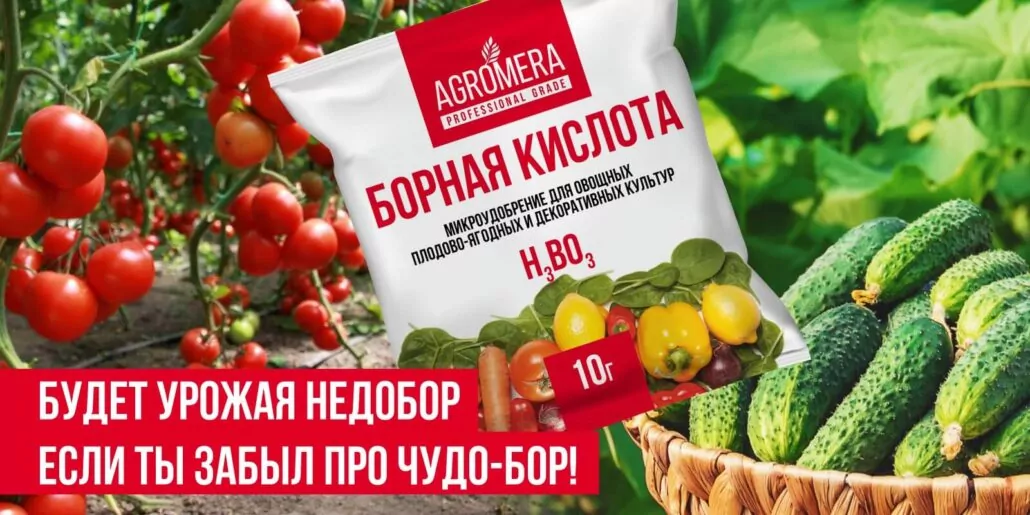 борная кислота удобрение применение