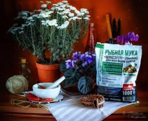 Применение рыбной муки